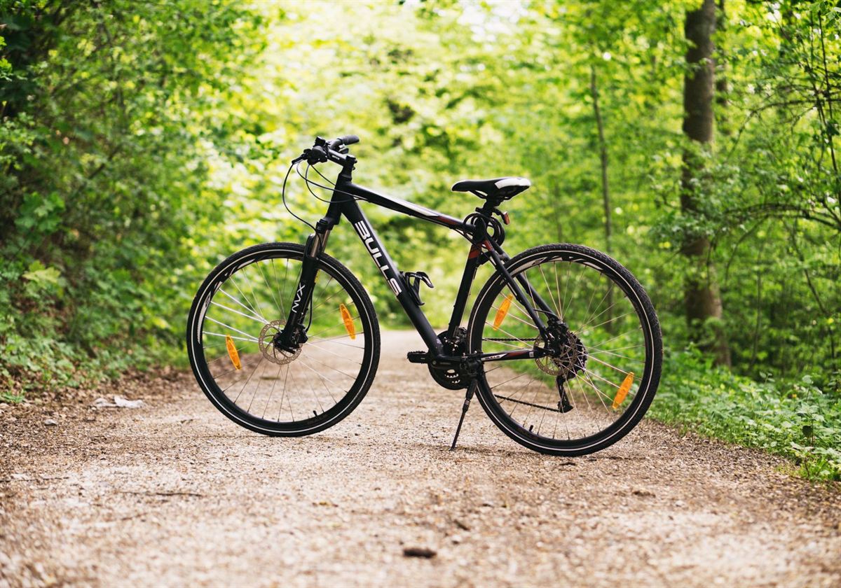 Cycleways to town and the coast